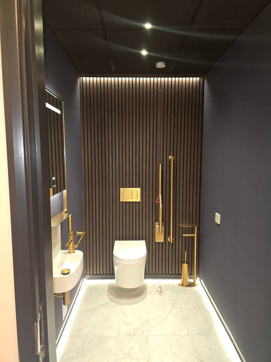 High-end WC fit-out with feature lighting